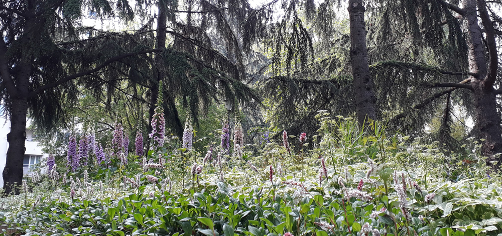 Jardin du Cardinal de Richelieu