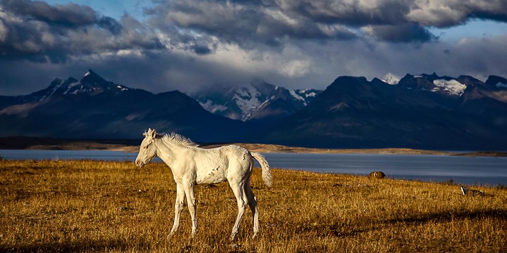 21_VCinE_conf_Patagonie_©DR-principale.jpg